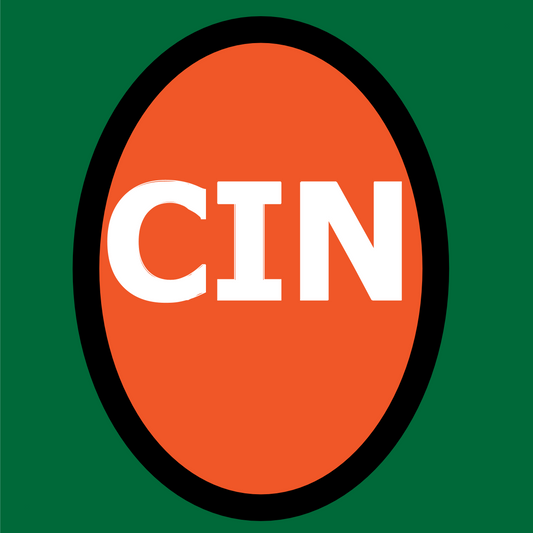 AFC North - Cincinati Bengals