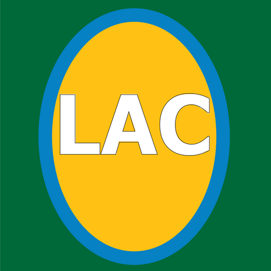 AFC West - Los Angeles Chargers