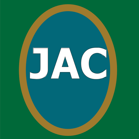 AFC South - Jacksonville Jaguars
