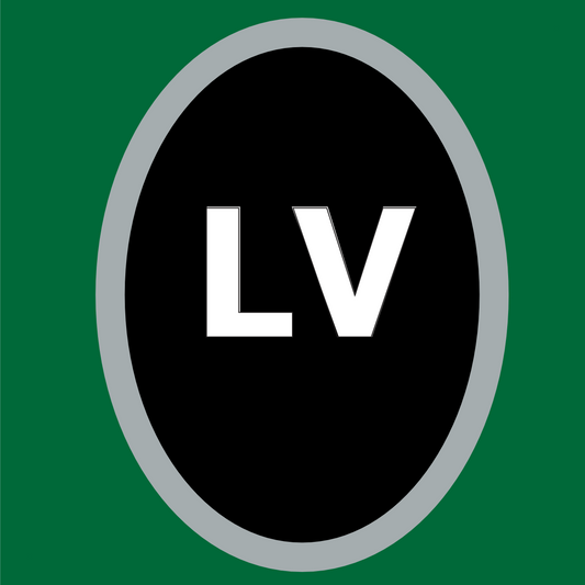 AFC West - Las Vegas Raiders