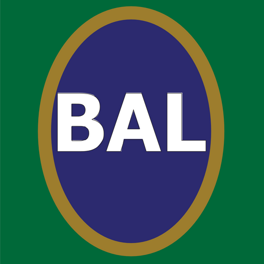 AFC North - Baltimore Ravens