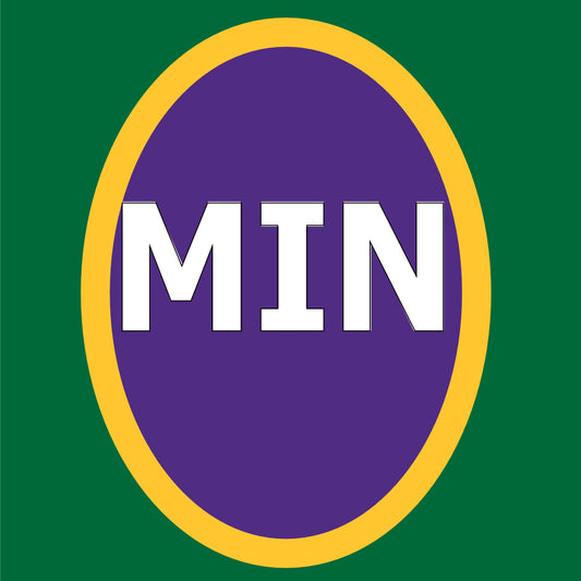 NFC North - Minnesota Vikings